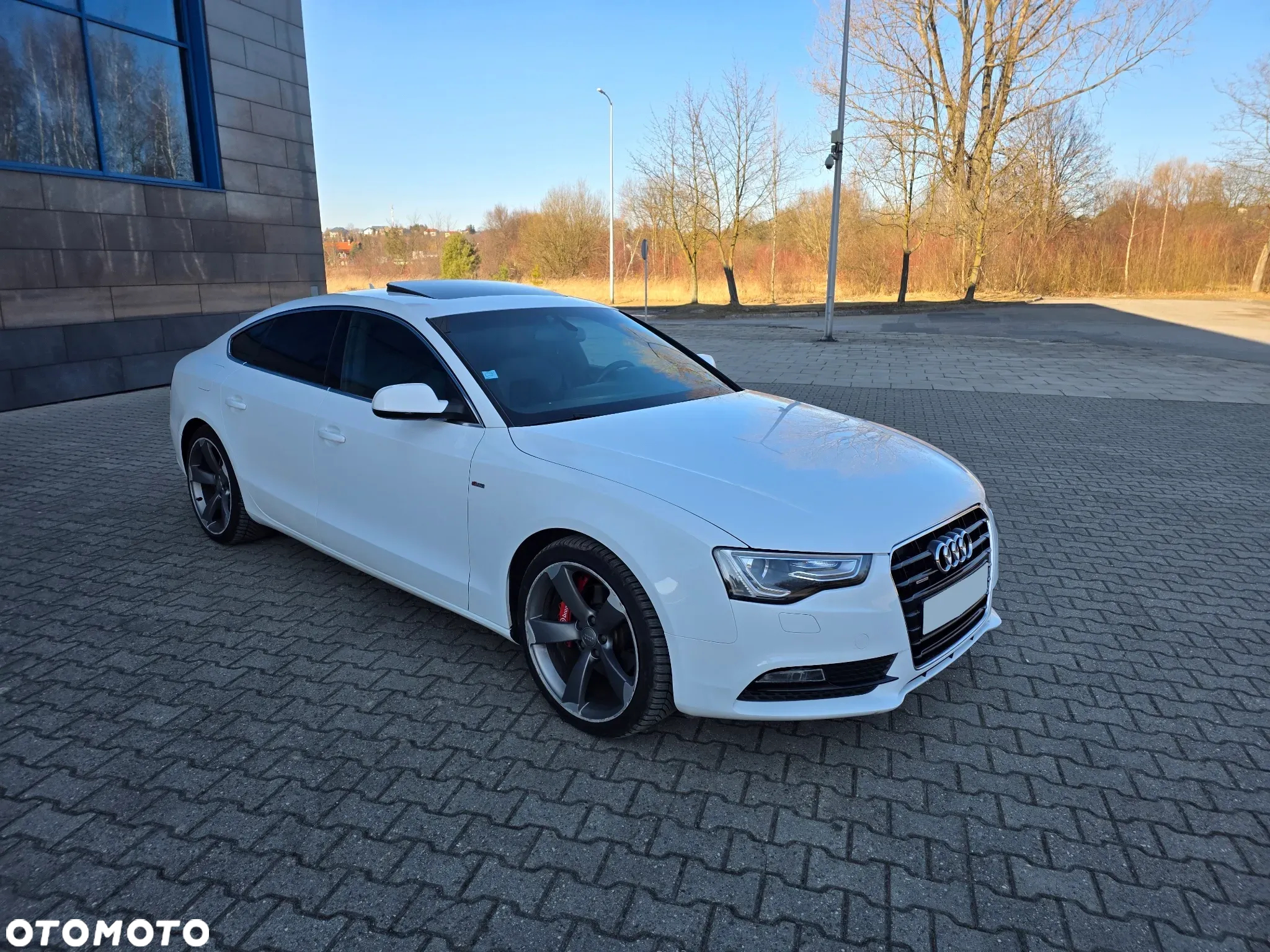 Audi A5 2.0 TDI Sportback quattro DPF S tronic - 6