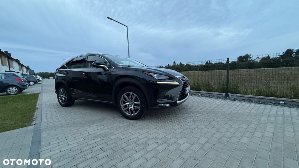 Lexus NX 300h Business Edition AWD - 2