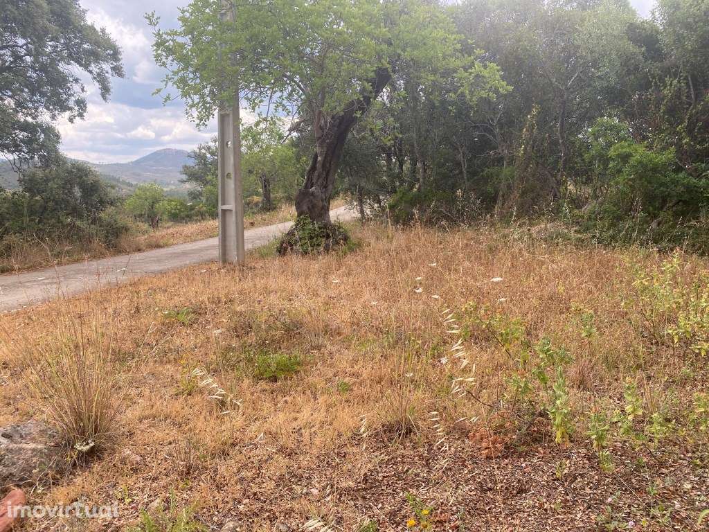 Lote de terreno rústico com a área total de 210m2, Salir, Algarve - Grande imagem: 3/14