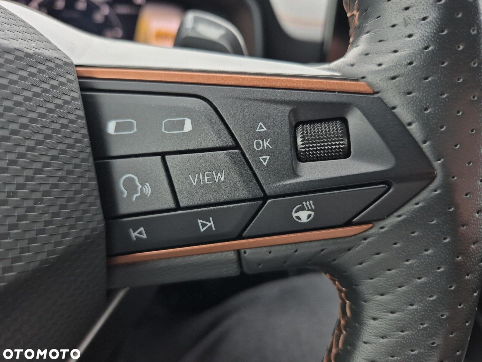 Cupra Formentor 1.5 TSI DSG - 25