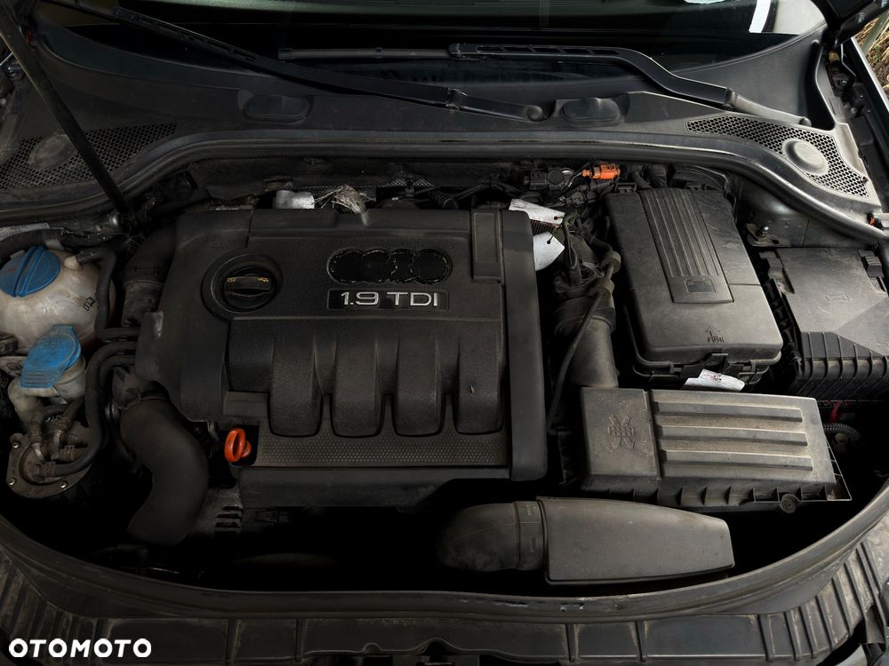 Audi A3 3-drzwiowe 1.9 TDI DPF Ambiente - 14