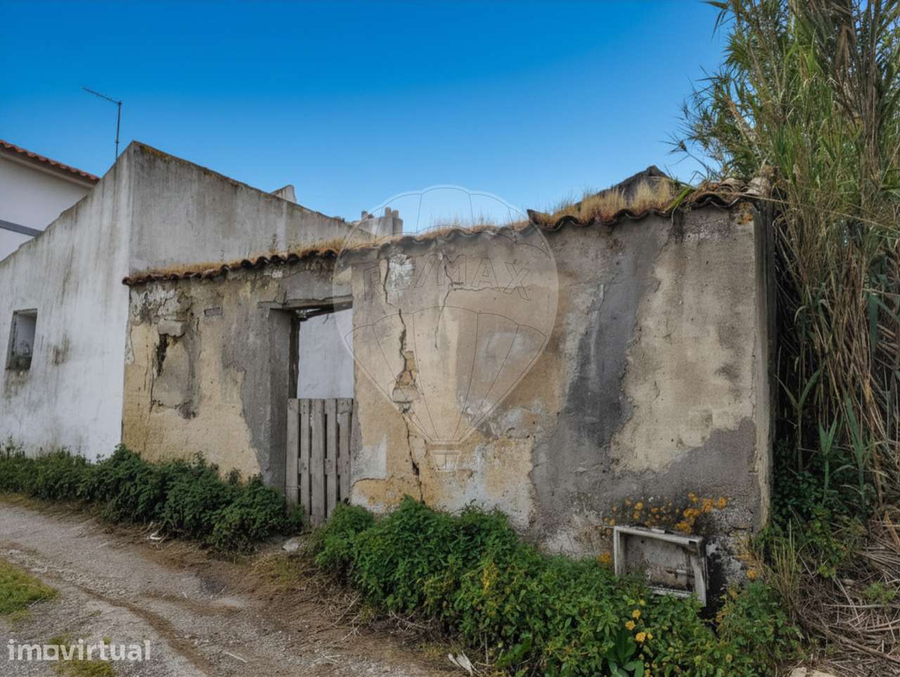 Moradia em ruína num terreno com 4.830 m² a poucos kms da Nazaré - Grande imagem: 2/13
