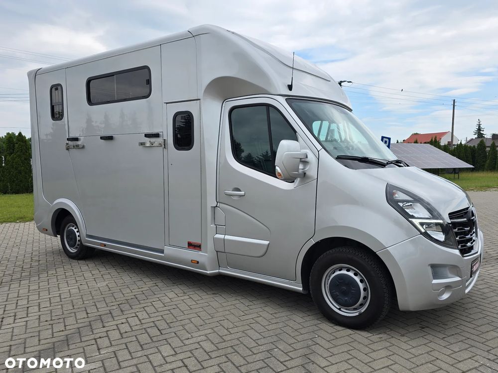 Opel Movano-Koniowóz - 2