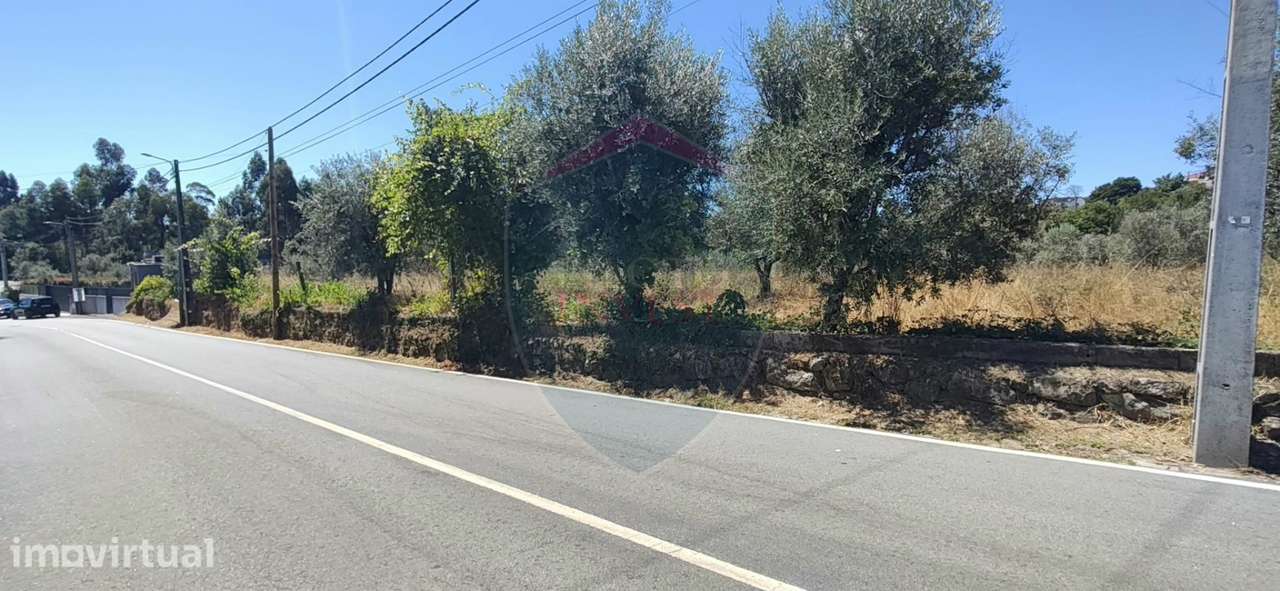 Terreno  Venda em Cavernães,Viseu - Grande imagem: 3/5