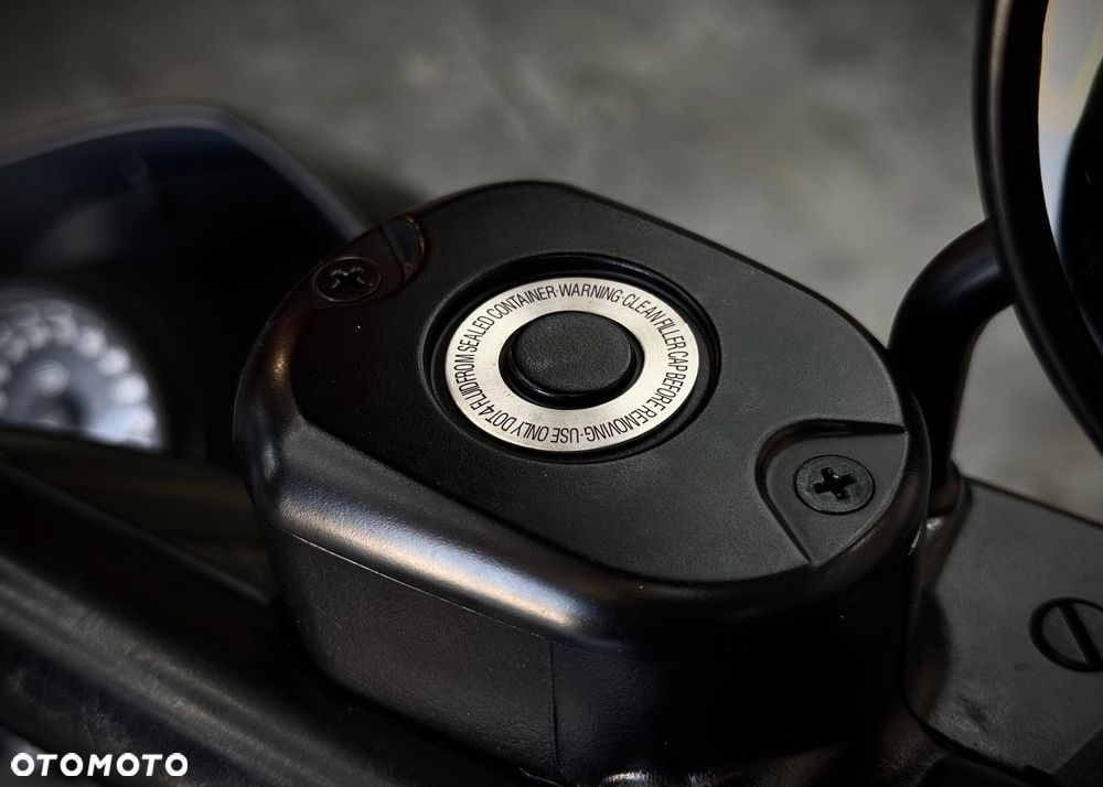 Harley-Davidson Sportster Iron 1200 - 38