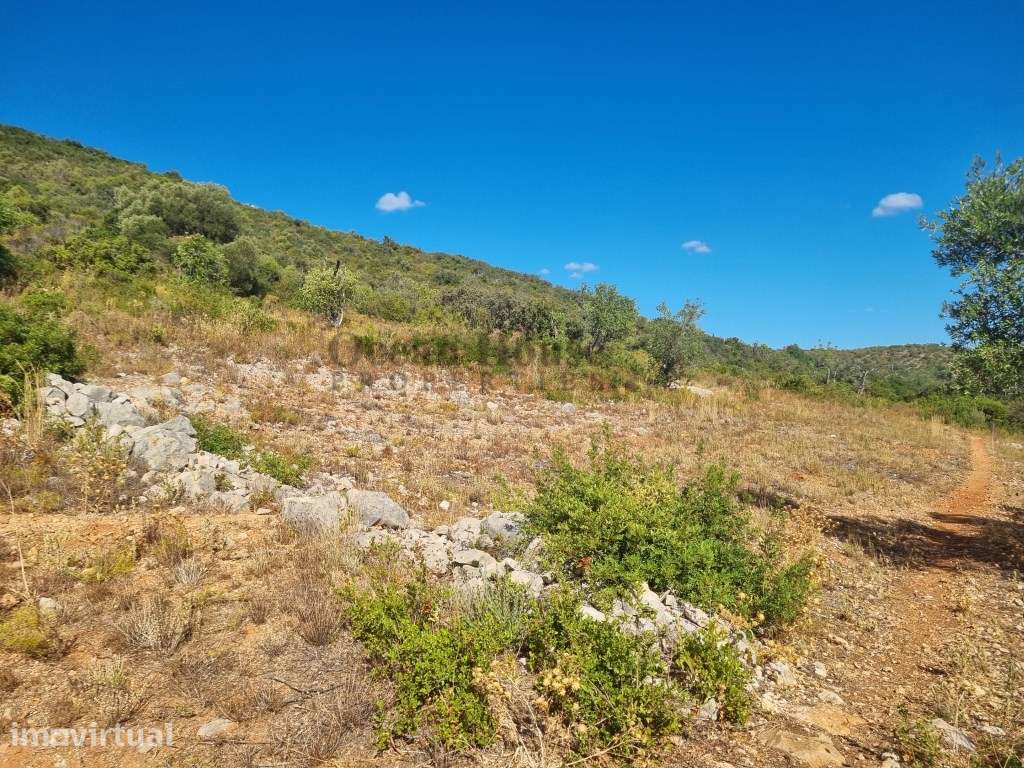 Terreno rustico de 6100m2 com vista mar, no cerro do Guilhim - Esto... - Grande imagem: 3/15