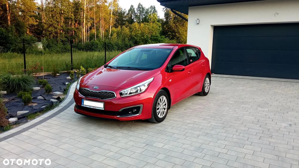 Kia Ceed - 1