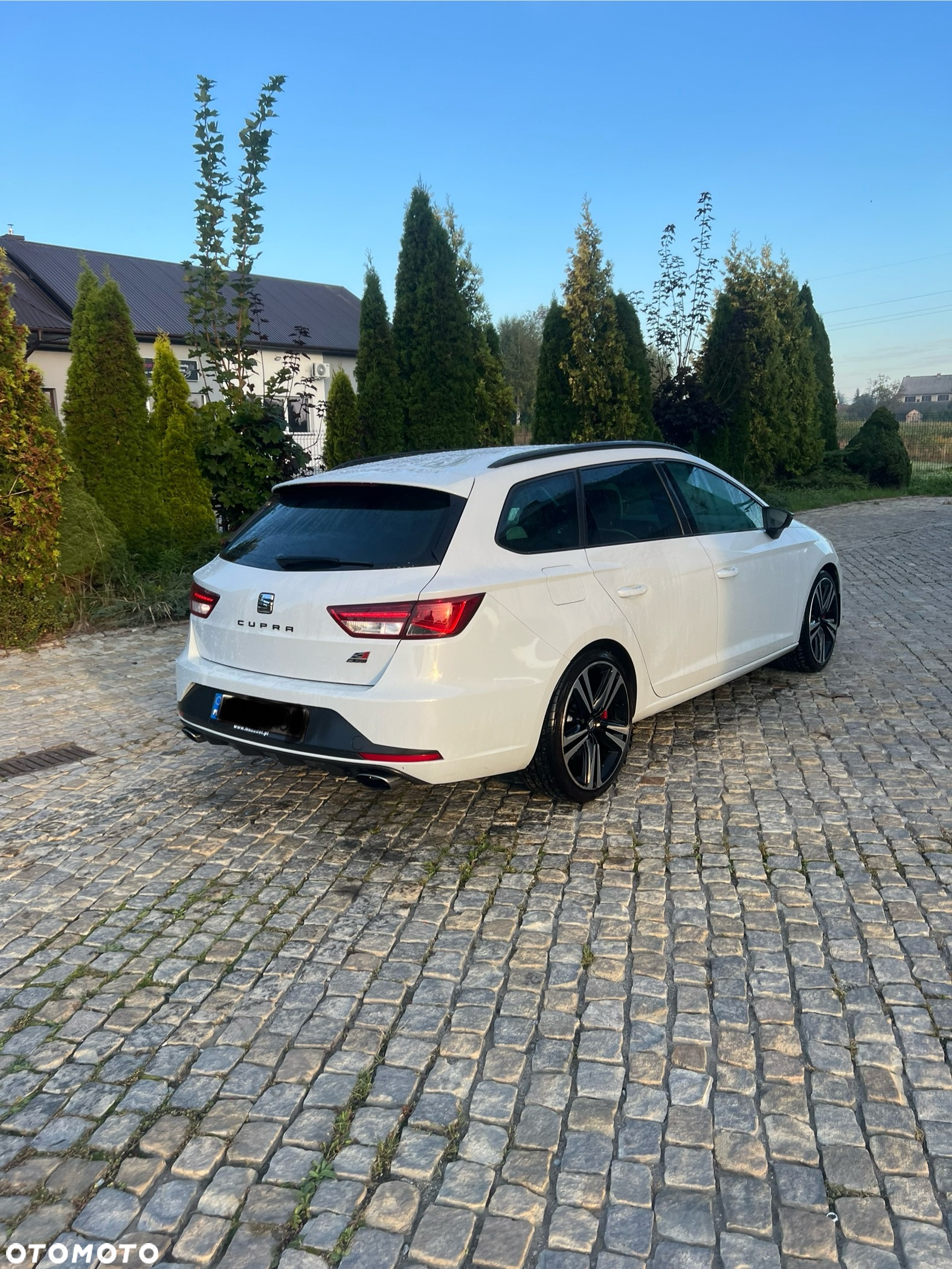 Seat Leon 2.0 TSI Cupra 290 S&S DSG - 10