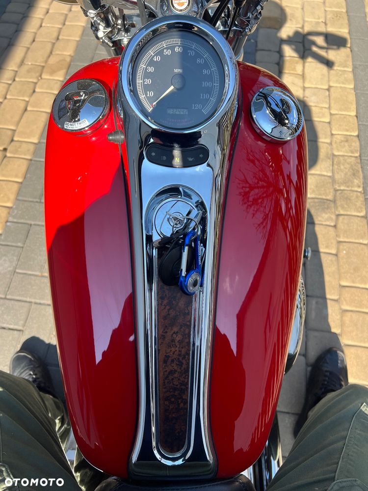 Harley-Davidson Softail - 14