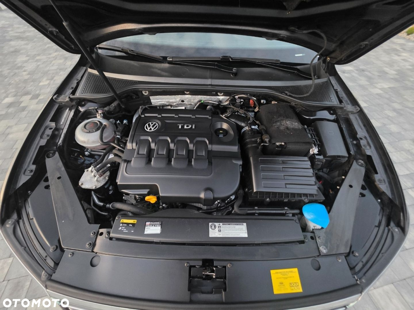 Volkswagen Passat - 30