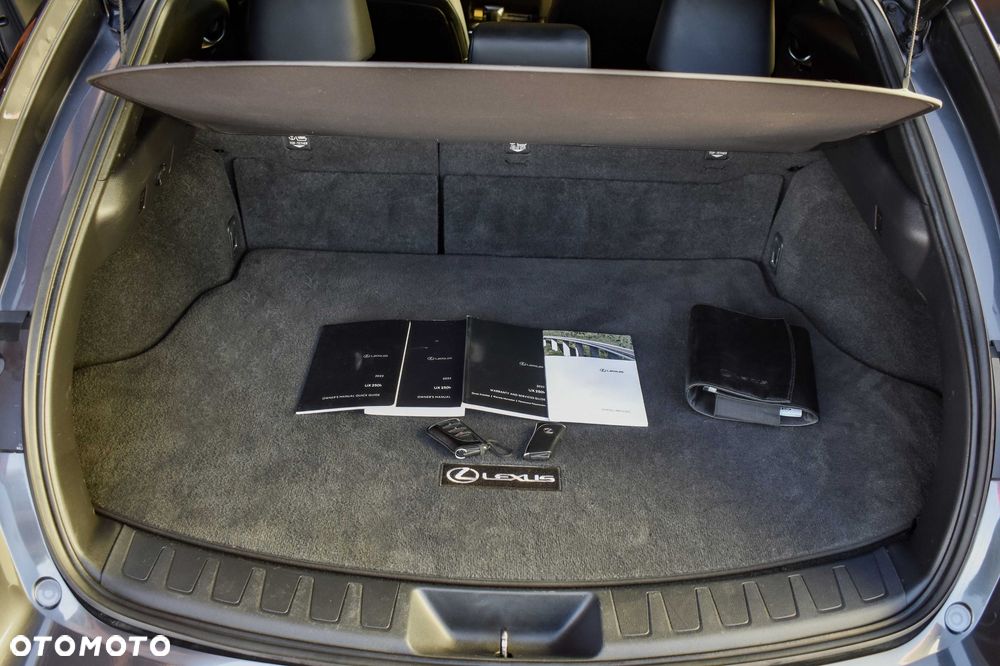Lexus UX - 8