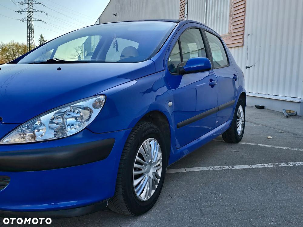 Peugeot 307 - 19