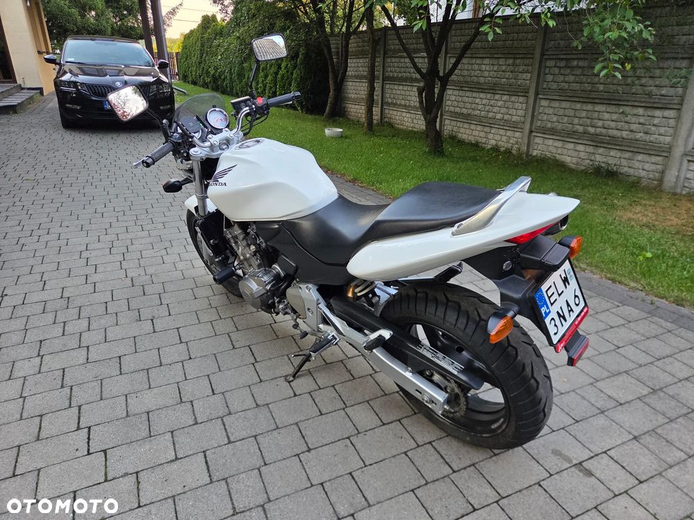 Honda Hornet - 5