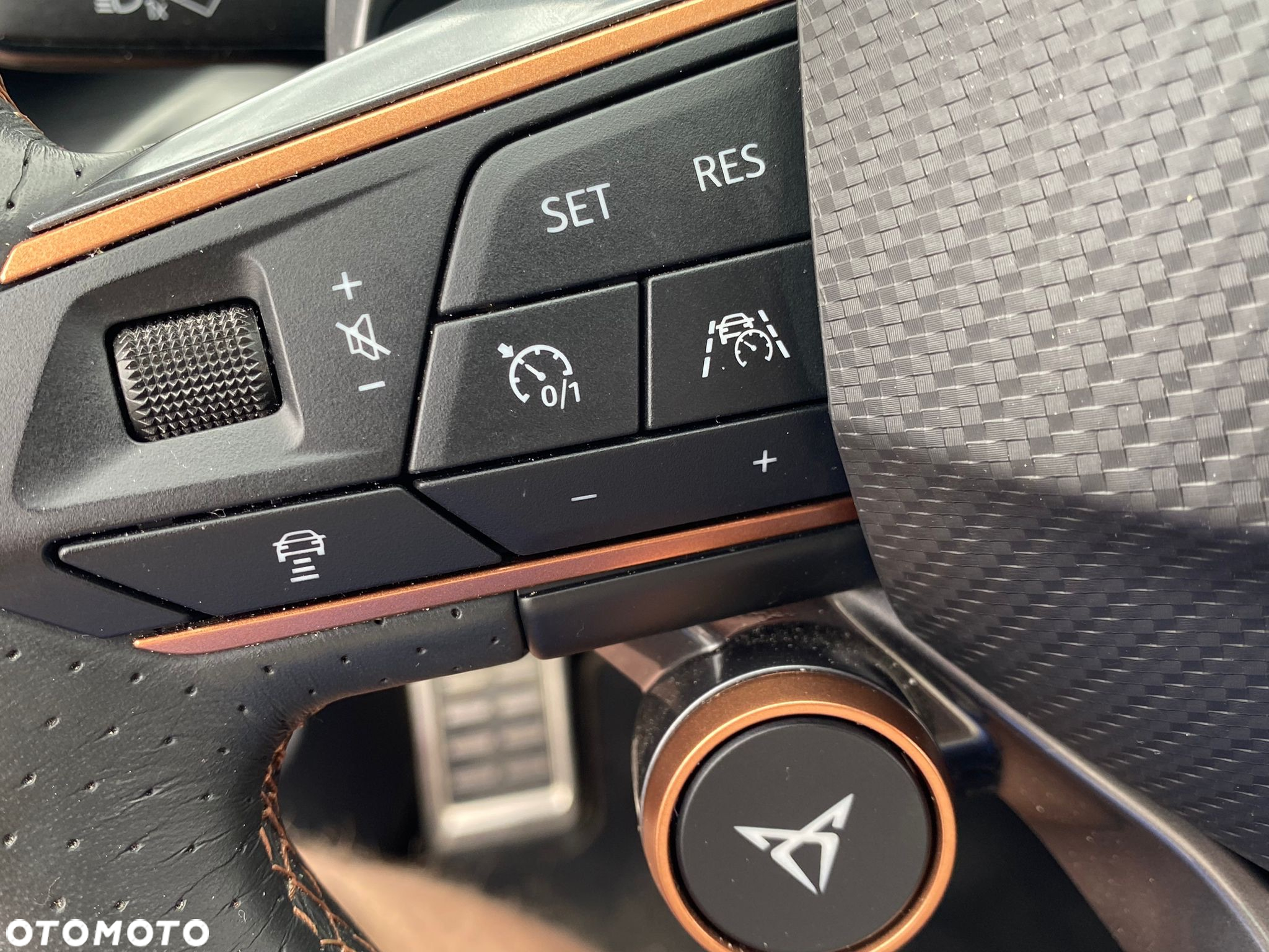 Cupra Formentor 2.0 TSI 4Drive VZ DSG - 23