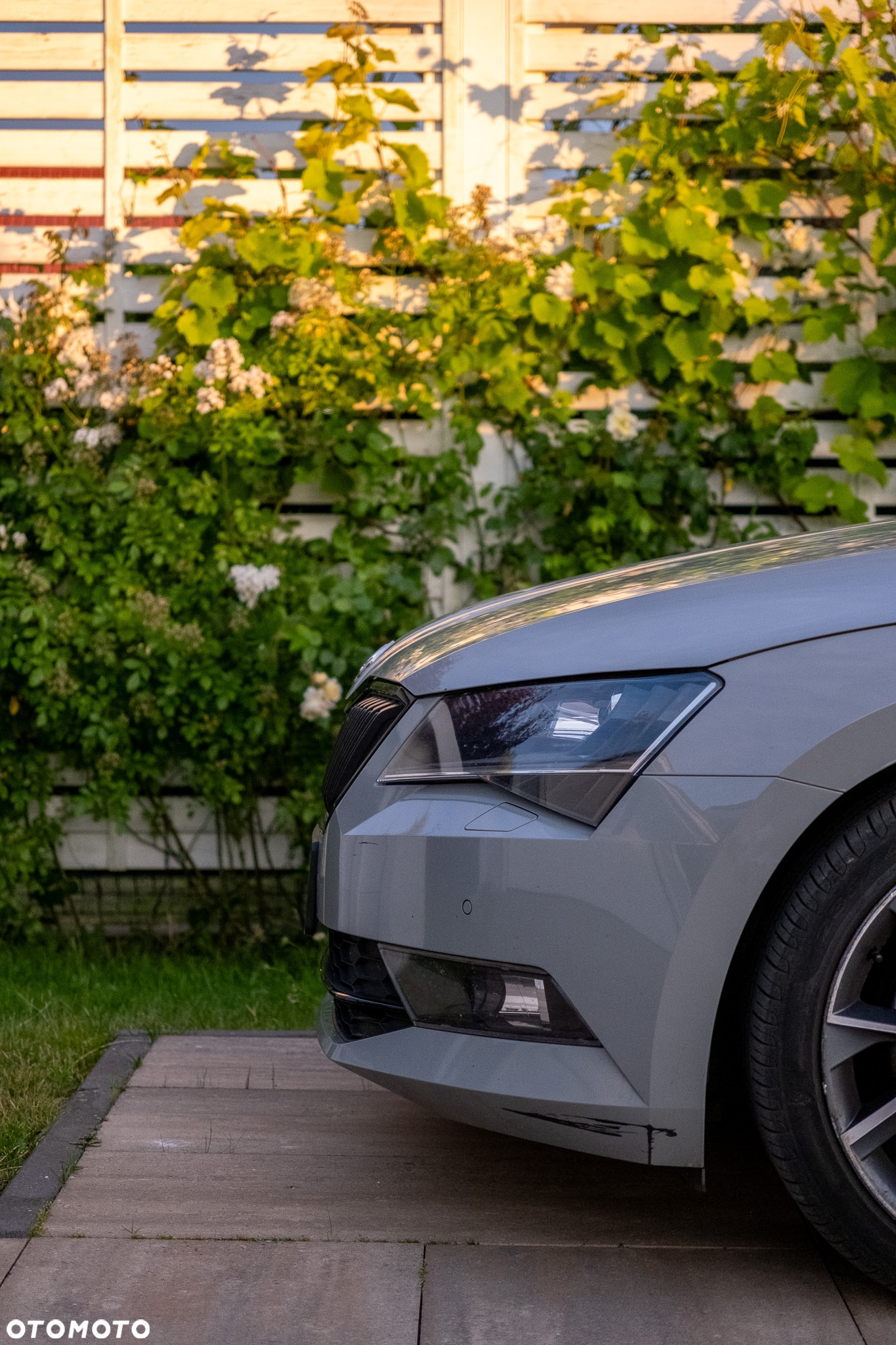 Skoda Superb 2.0 TDI 4x4 Sportline DSG - 5