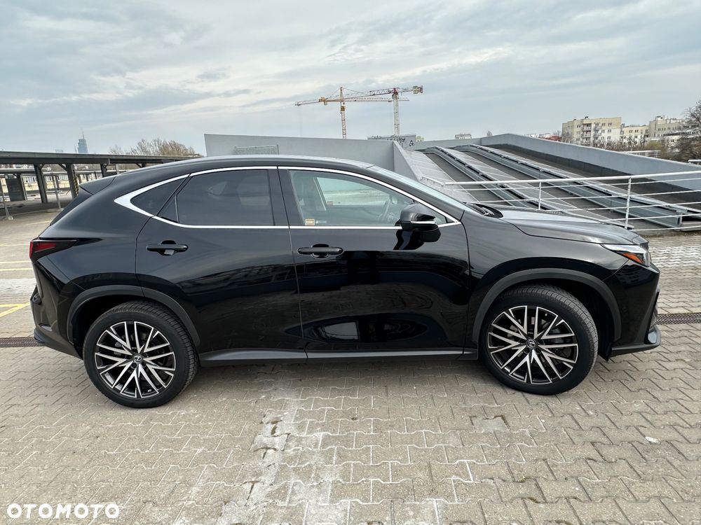 Lexus NX 350h Omotenashi AWD - 5