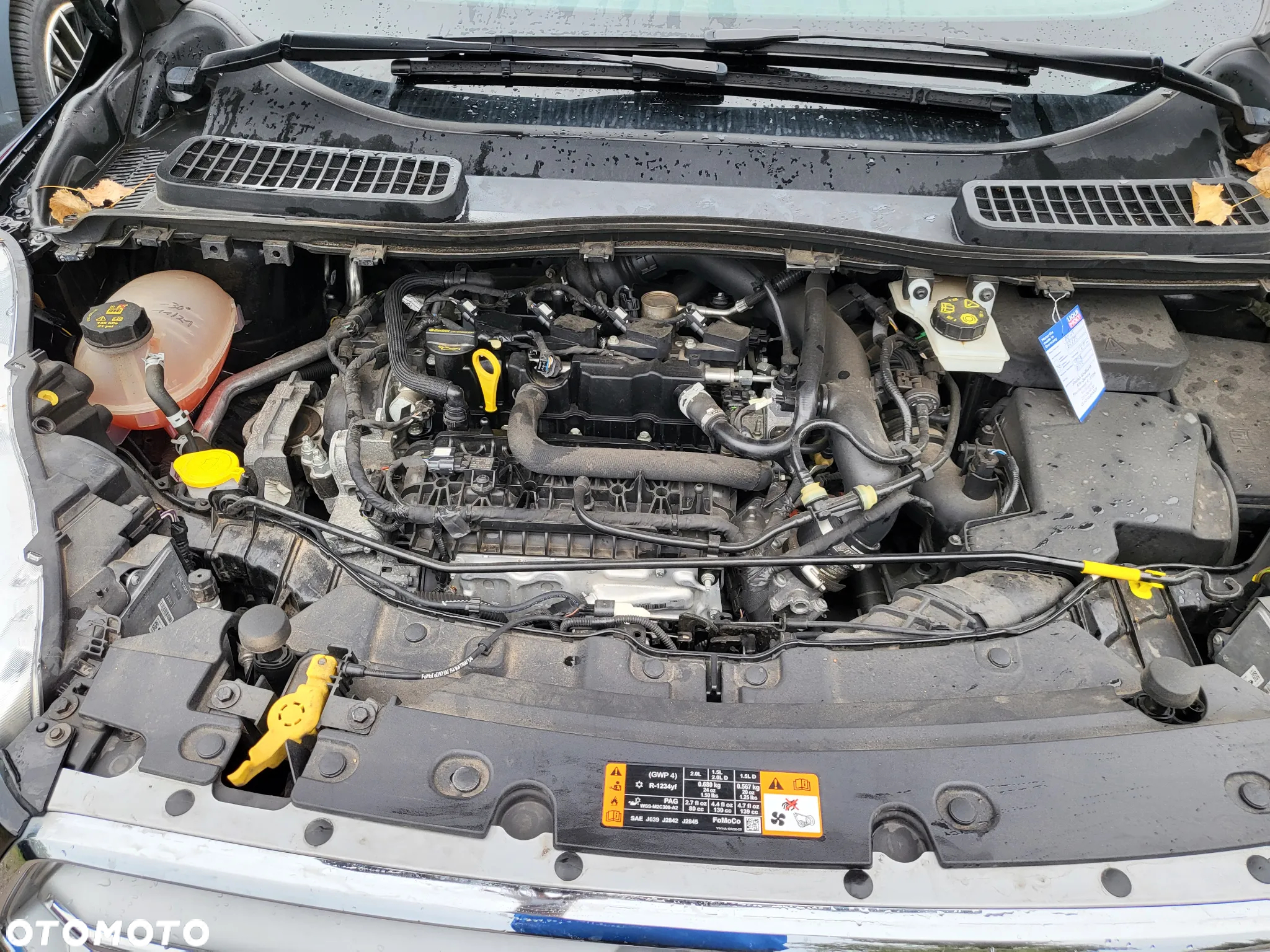 Ford Kuga 1.5 EcoBoost FWD Titanium X - 12