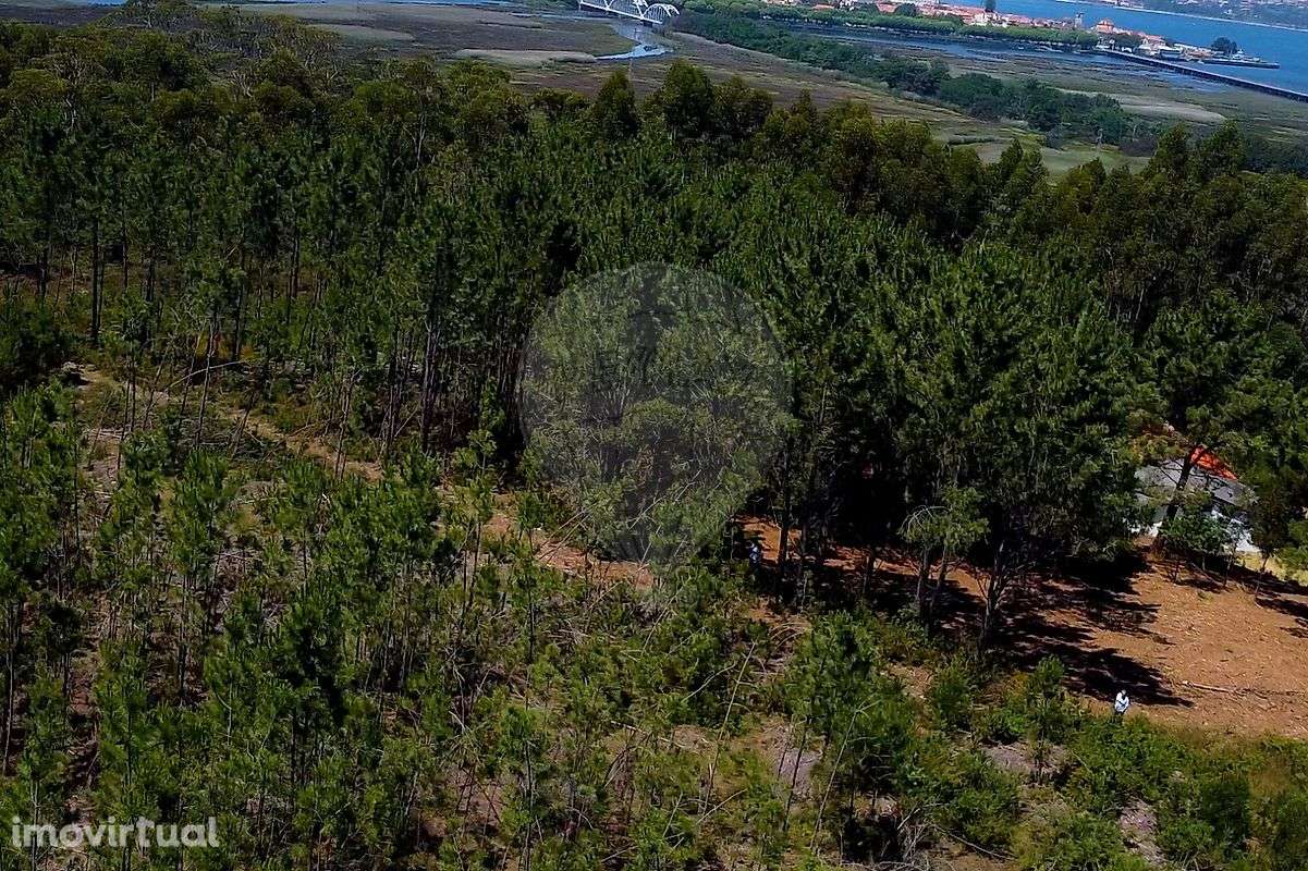 Terreno  para venda - Grande imagem: 4/14