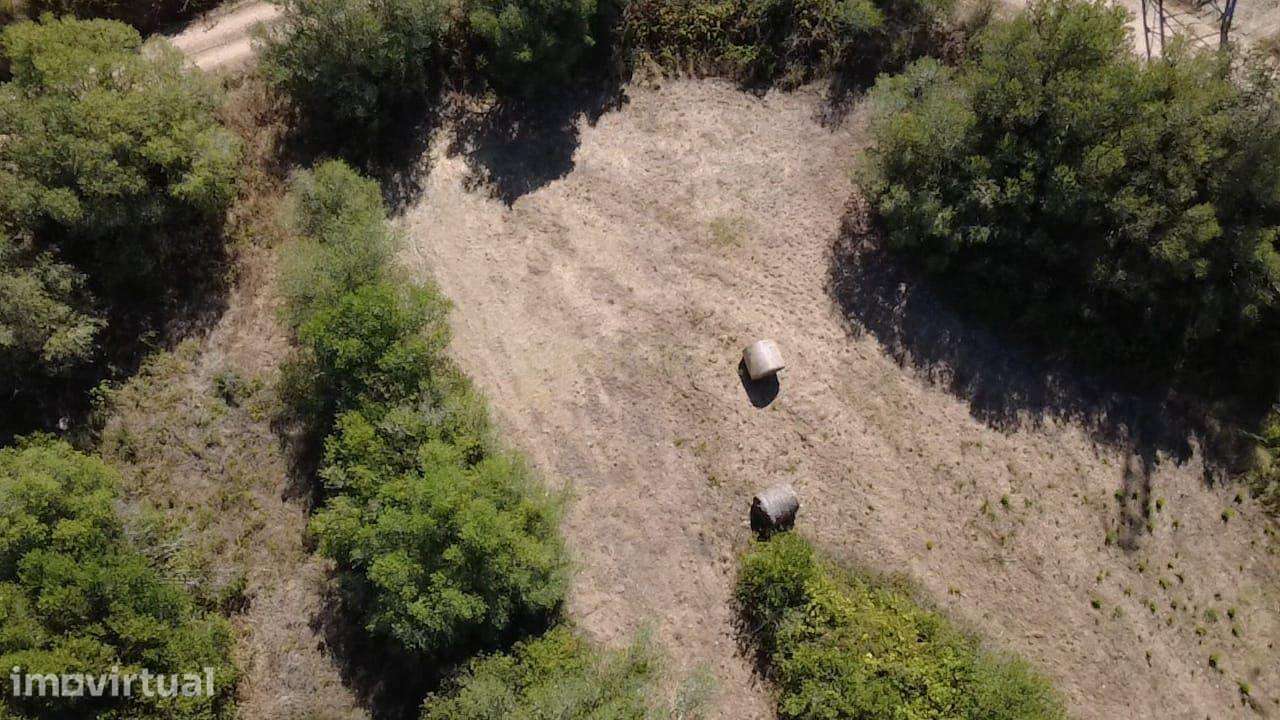Terreno rústico em área REN - Grande imagem: 4/22