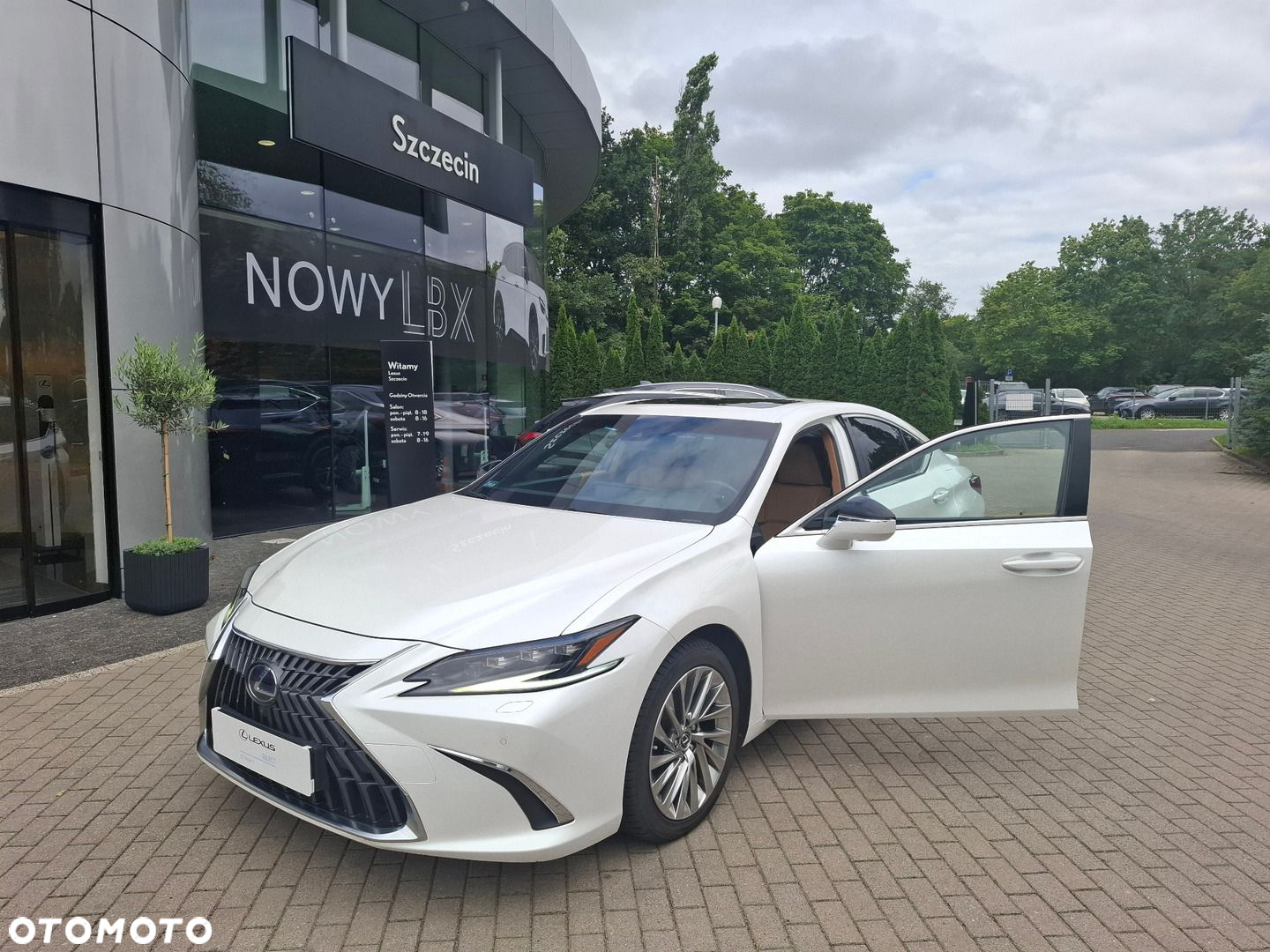 Lexus ES 300h Omotenashi - 9