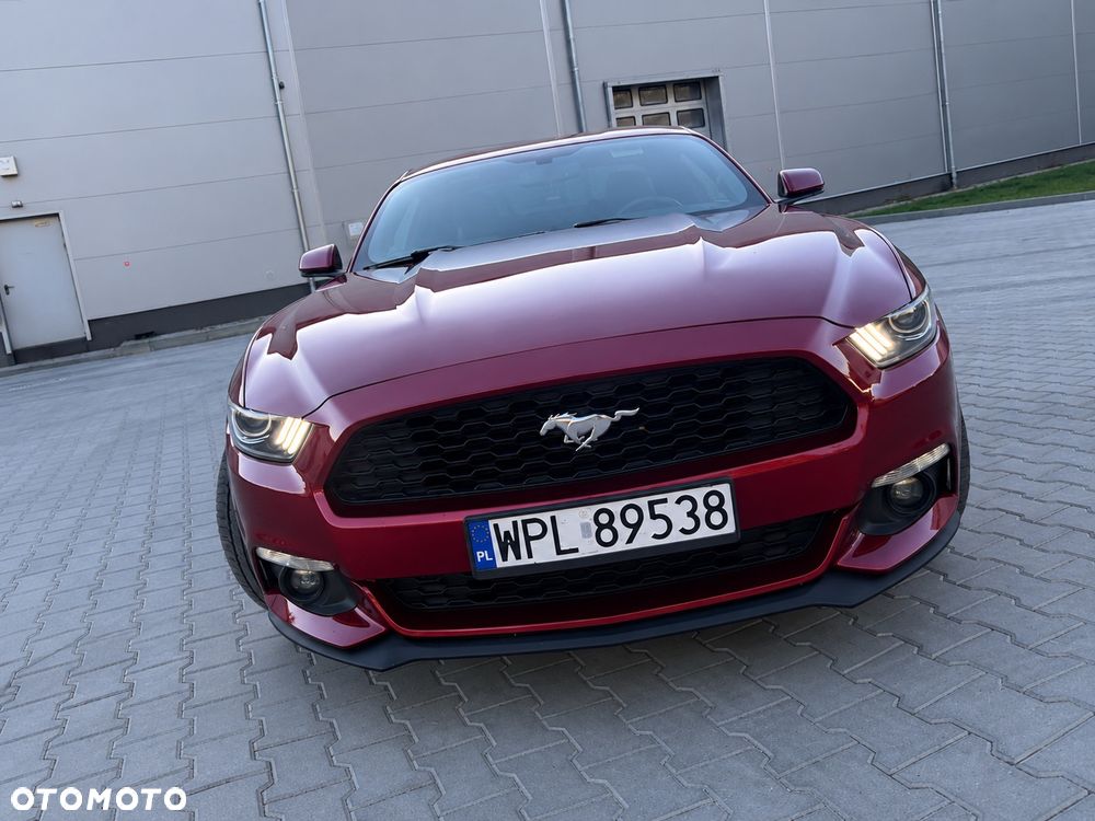 Ford Mustang - 17