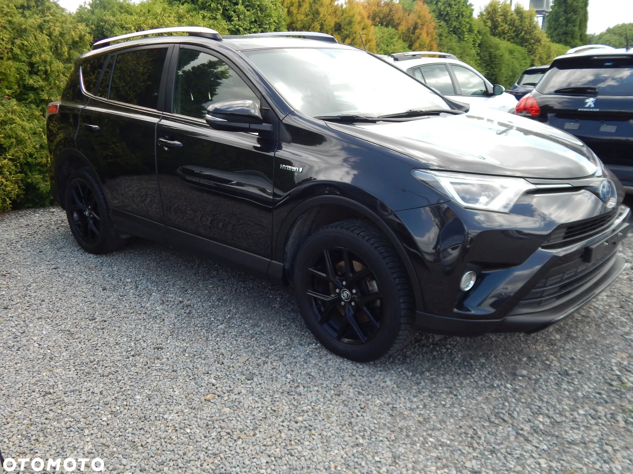Toyota RAV4 Hybrid Platinum 4x4 - 5
