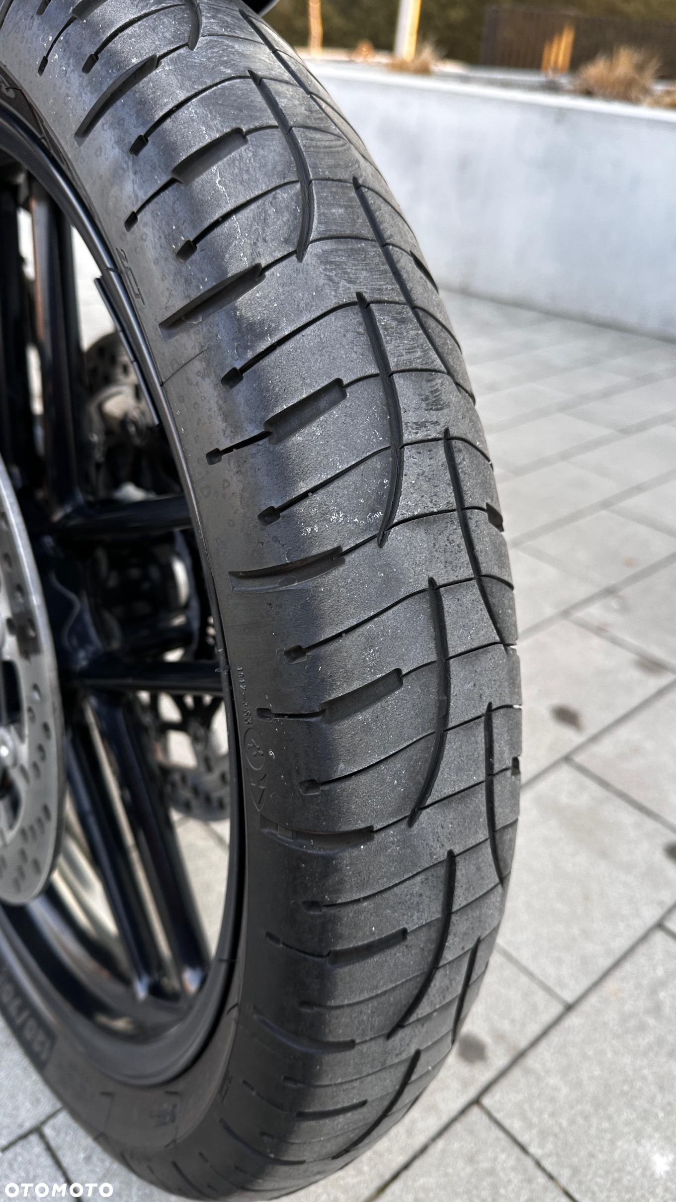Triumph Tiger - 14