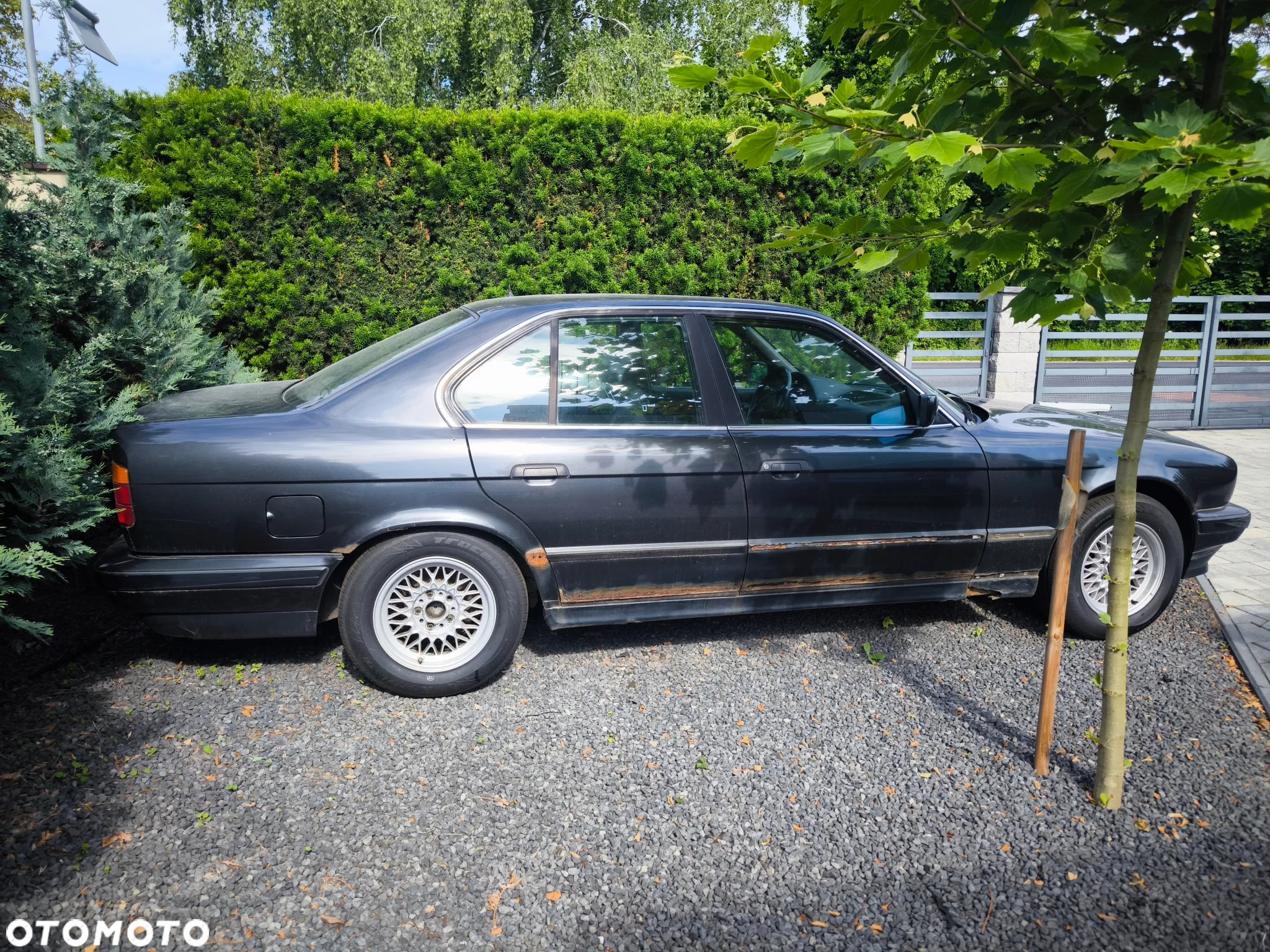 BMW Seria 5 530i V8 - 6