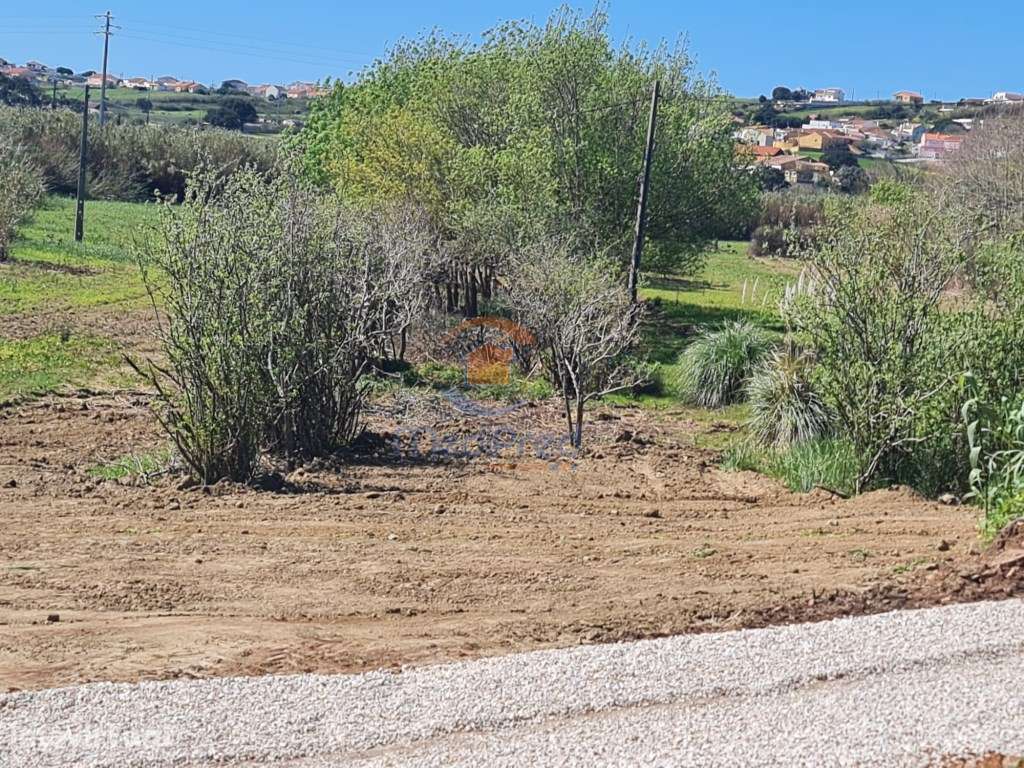 Terreno agrícola 6.000 m2 | A dos Cunhados, Torres Vedras - Grande imagem: 4/14