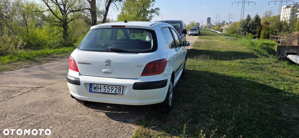Peugeot 307 - 5