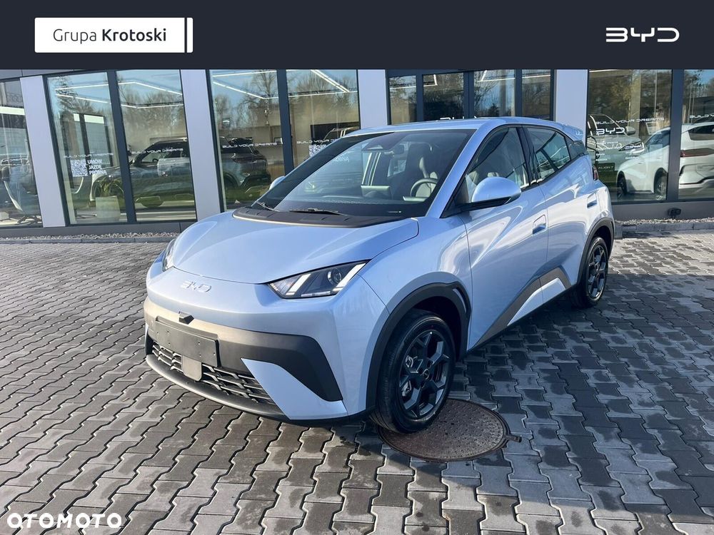 BYD Dolphin Surf - 1