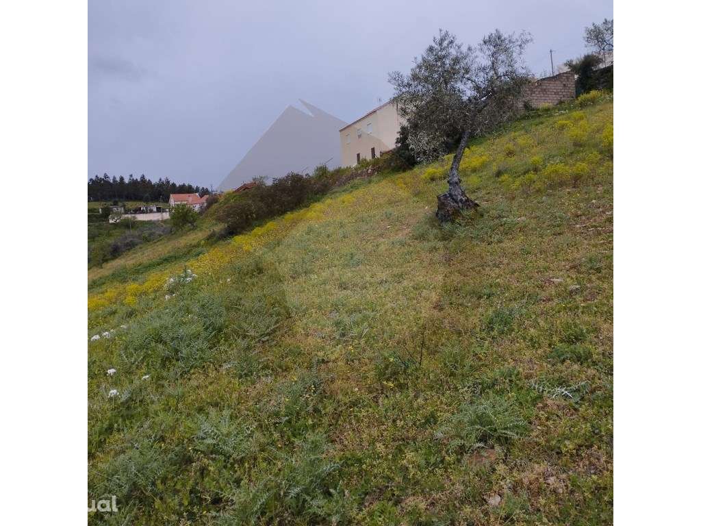 Terreno - Mogadouro - Grande imagem: 4/12