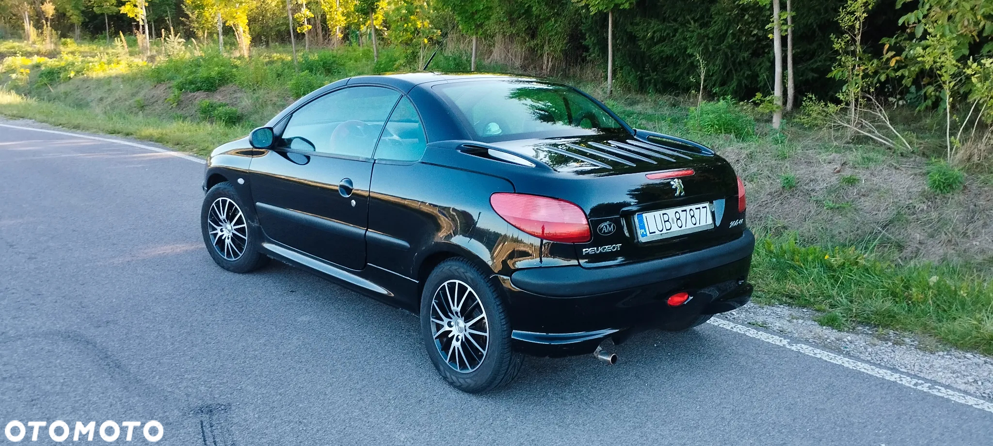 Peugeot 206 CC 1.6 - 3