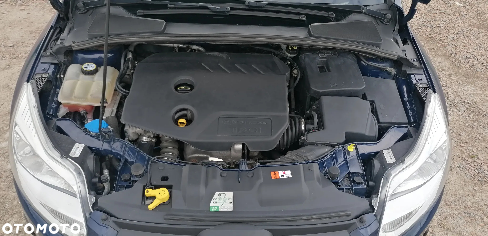 Ford Focus - 15