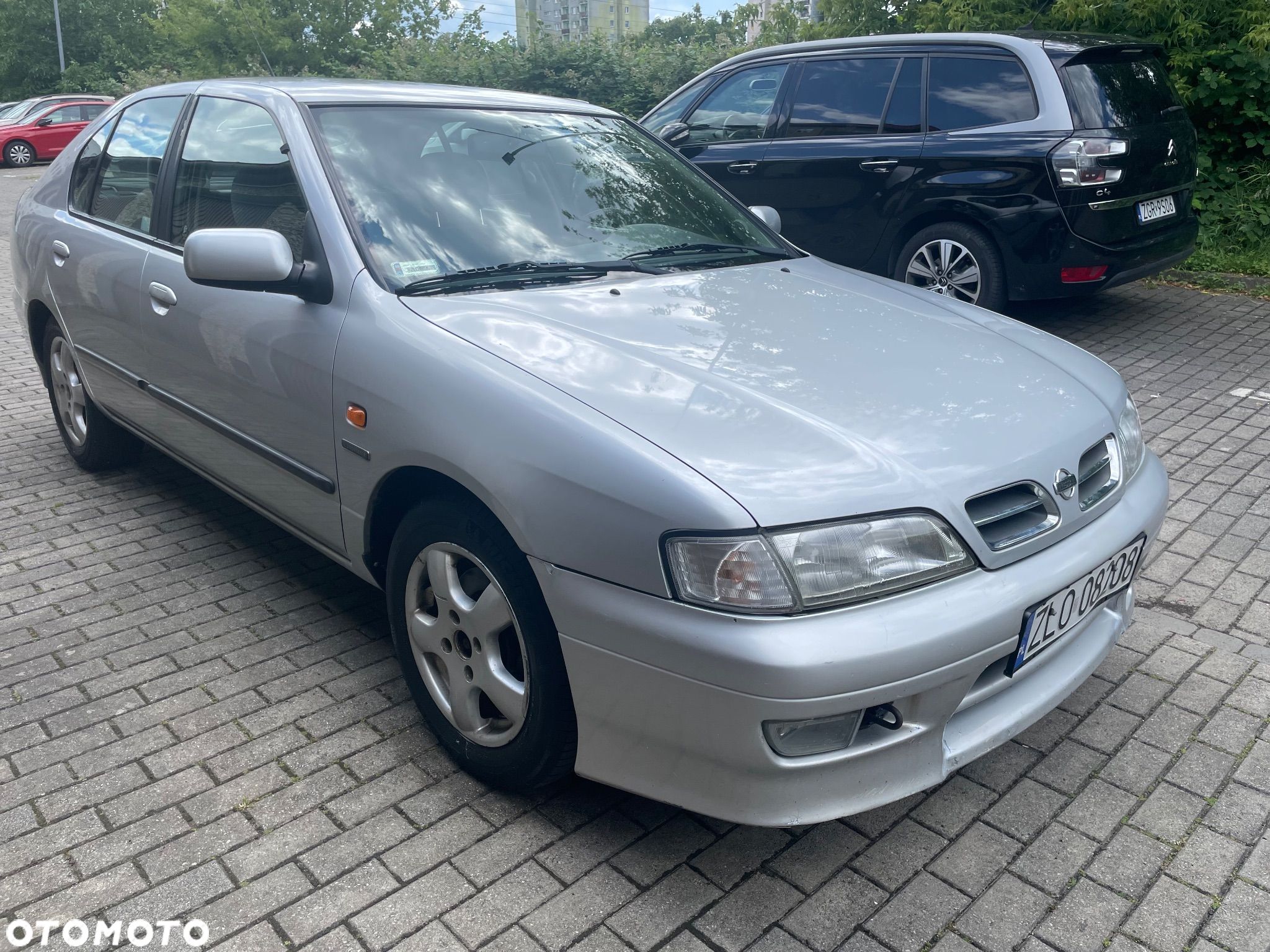 Nissan Primera - 1