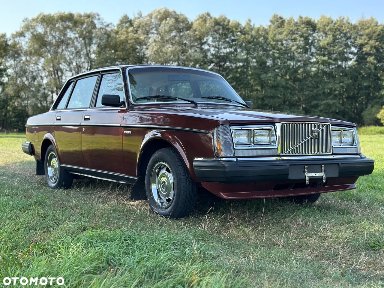 Volvo Seria 200 - 18