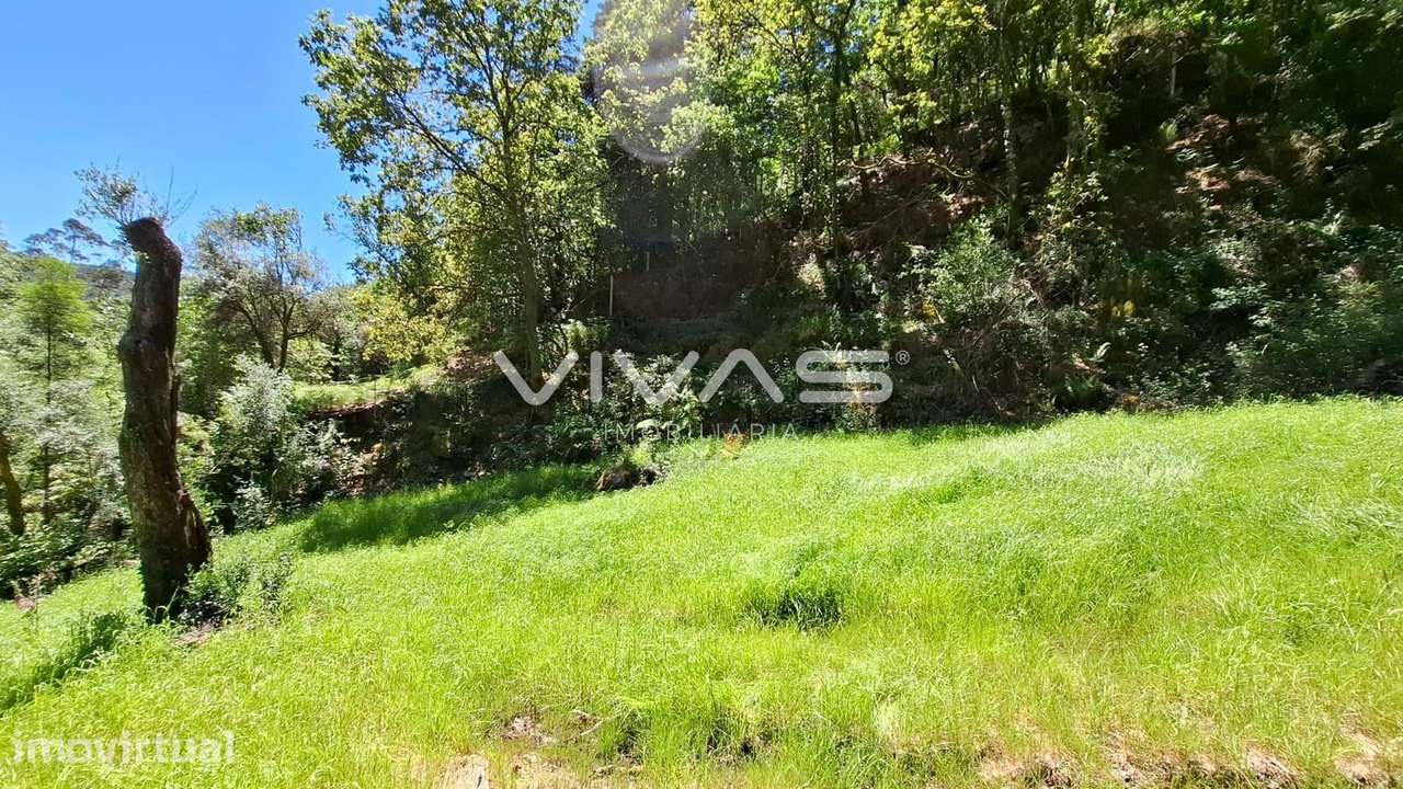 Moradia para Restaurar T0 Venda em Vilar da Veiga,Terras de Bouro - Grande imagem: 5/33