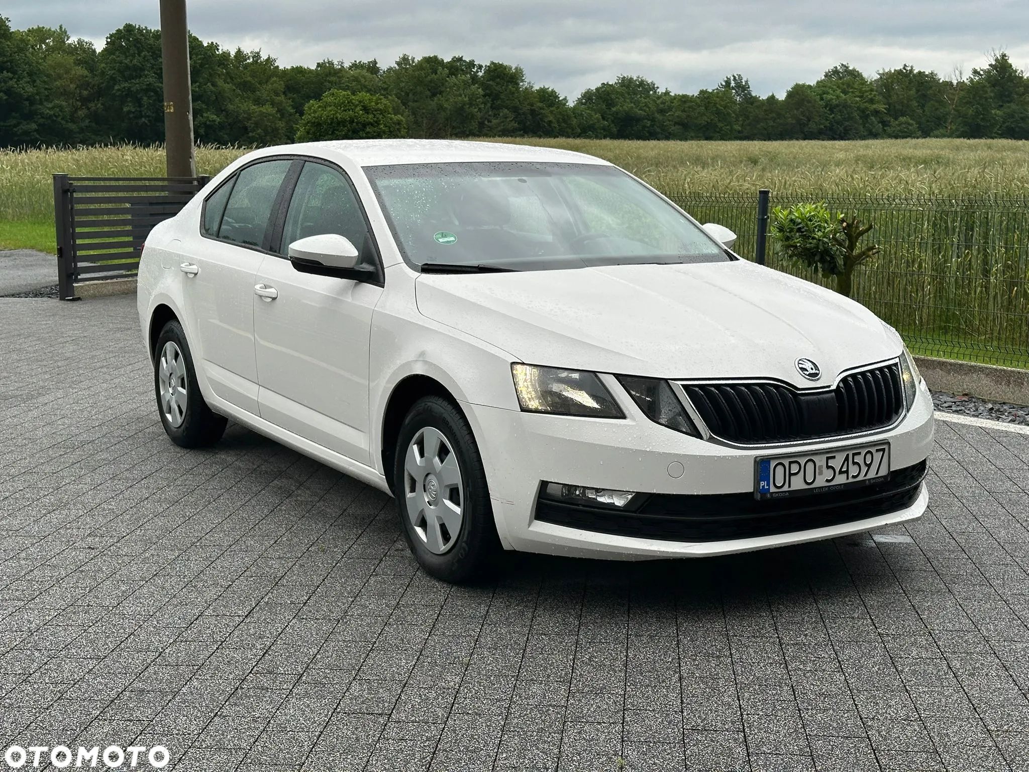Skoda Octavia 1.6 TDI SCR Active - 1