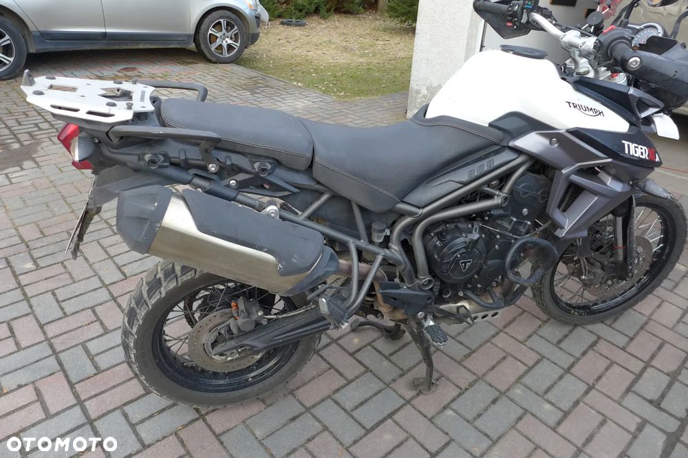 Triumph Tiger - 3