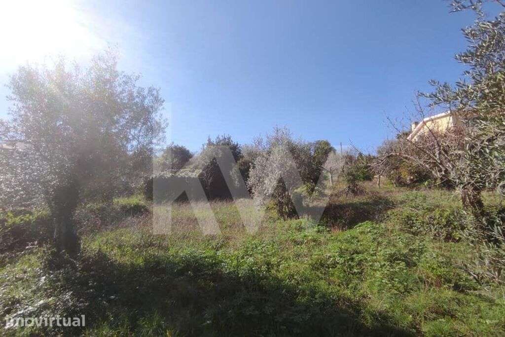 Terreno ,Carvalhais de Cima - Grande imagem: 5/8