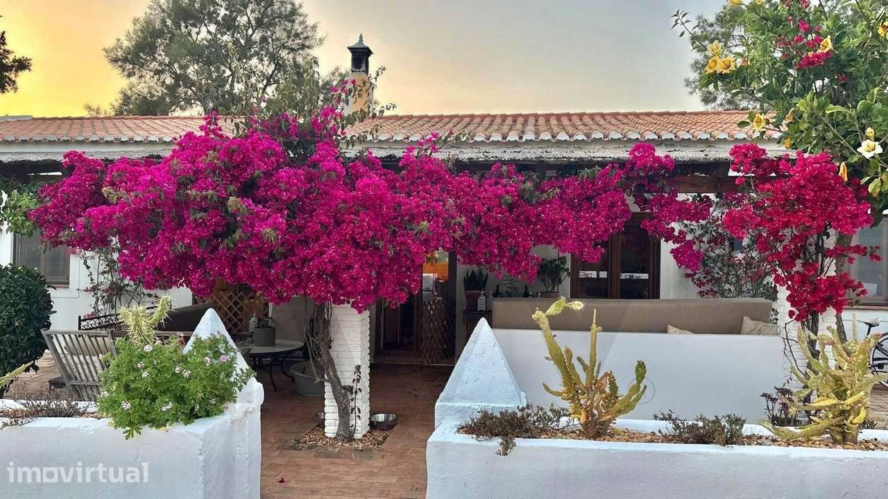 Quinta de Charme em Lagoa – Muito Mais do que uma Casa, um Verdadeiro - Grande imagem: 2/59