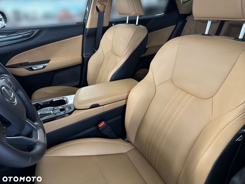 Lexus NX - 16