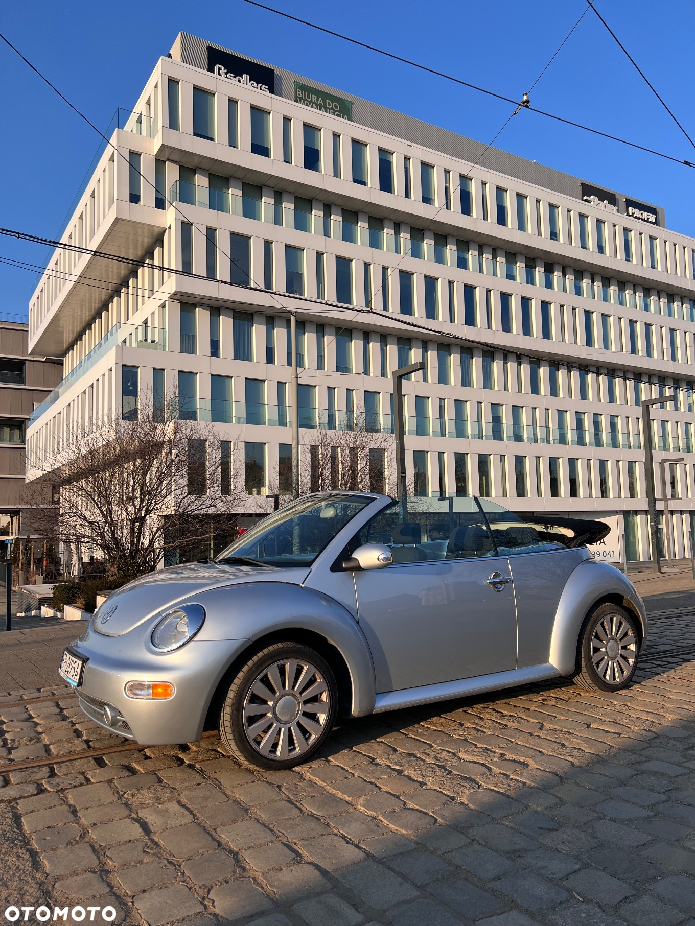 Volkswagen New Beetle Cabriolet 1.6 - 2