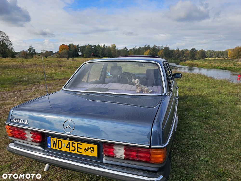 Mercedes-Benz W123 - 4