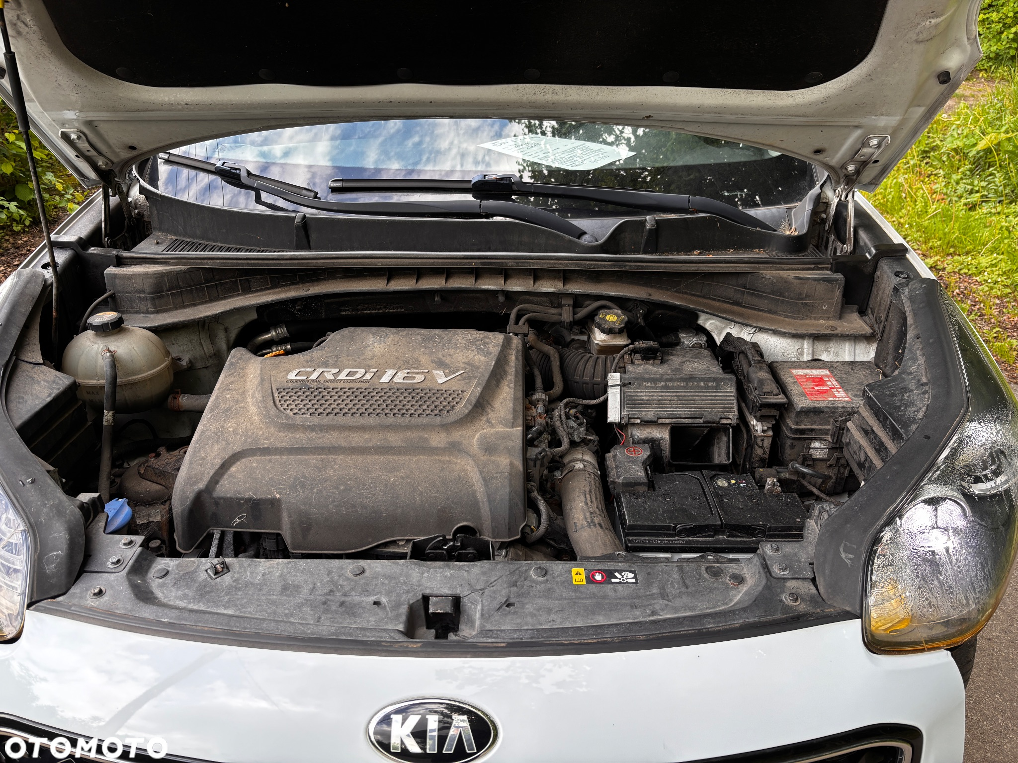 Kia Sportage - 10