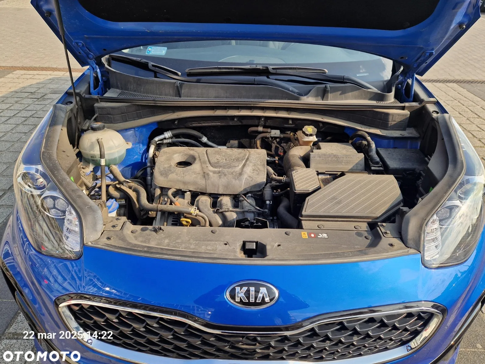 Kia Sportage - 14