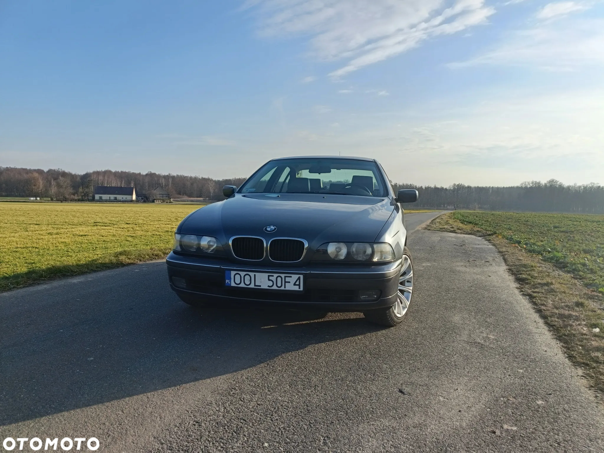 BMW Seria 5 525tds - 6