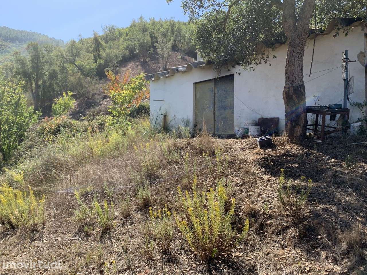 Quinta Monte da Ribeira - Grande imagem: 5/11