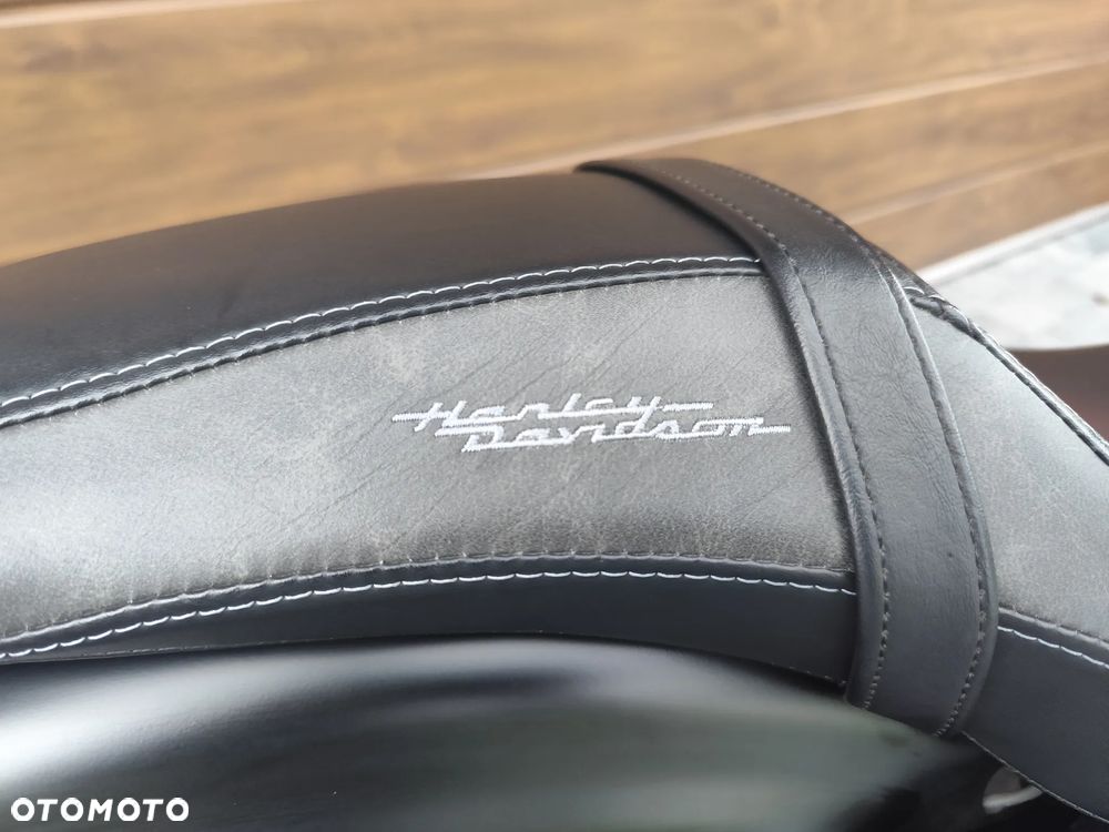 Harley-Davidson Sportster Iron 883 - 23