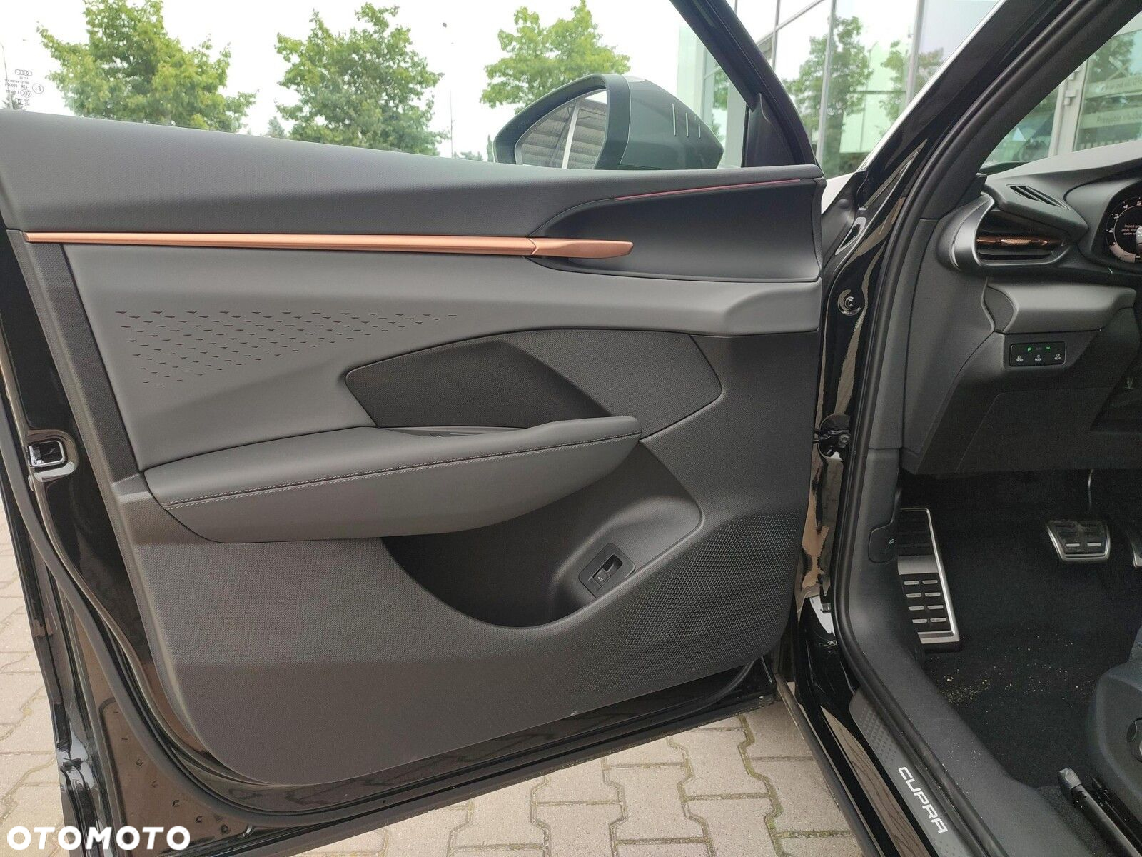 Cupra Terramar - 10